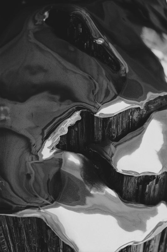 Creative Sessions EP. 1 Ward Strootman / Unveiling Nature's Art