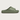008 Premium Recovery Slide Sage