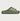 008 Premium Recovery Slide Sage