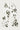 Twisted Side Seam Trousers 262405, back